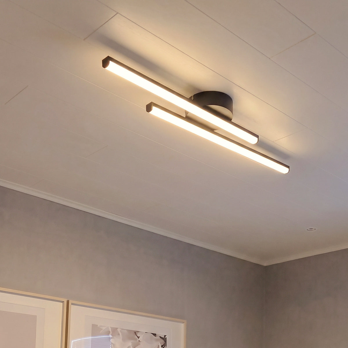 Aisle Ceiling Light With Remote Dimmer